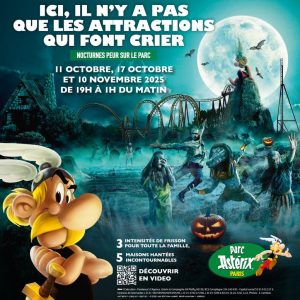 Parc Astérix prix spécialCosips41