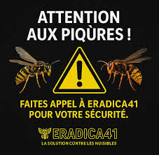 Eradica 41 "la solution contre les nuisibles " – Image 4