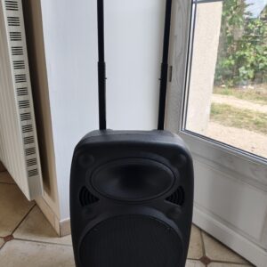 Enceinte Portable 800W +2 Micros Location