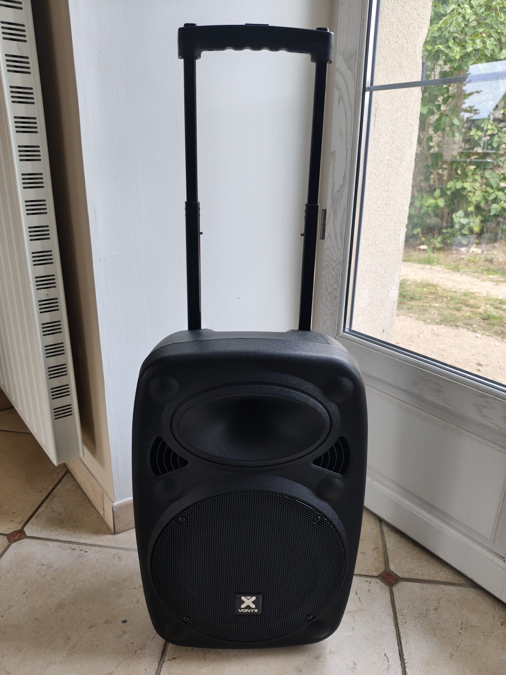 Enceinte Portable 800W +2 Micros Location